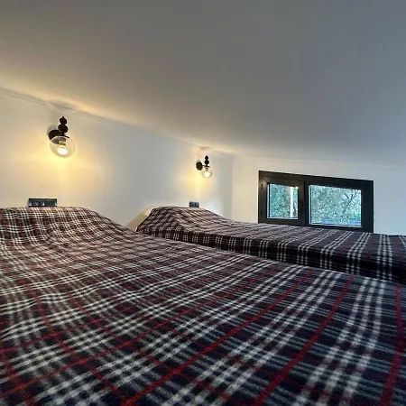 Virgo Tiny Houses Fethiye